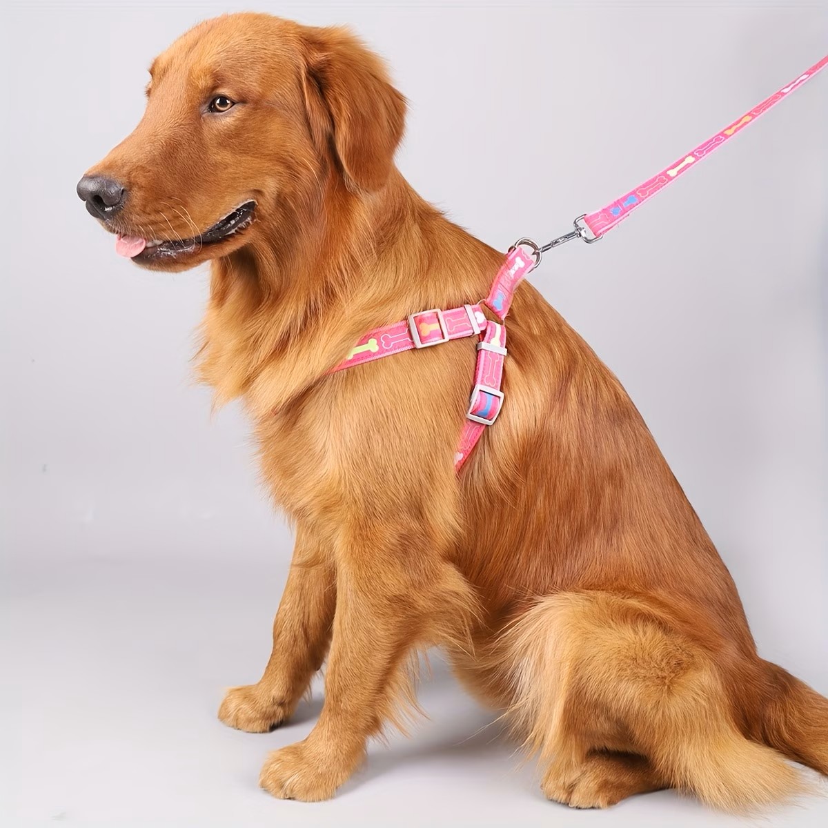 Adjustable Dog Harness with Qu – D Ring Strap recenzja i cena