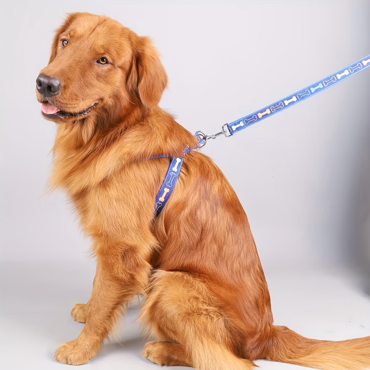Adjustable Dog Harness with Qu – D Ring Strap recenzja i cena