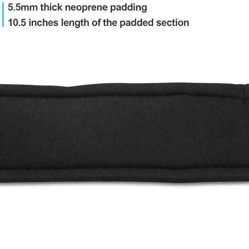 Adjustable Ankle Straps for Ca – D Ring Strap recenzja i cena