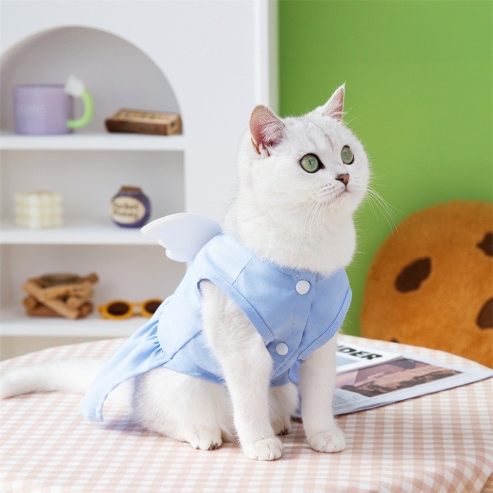 Pet Chest Strap Adorable Dog W – D Ring Strap recenzja i cena