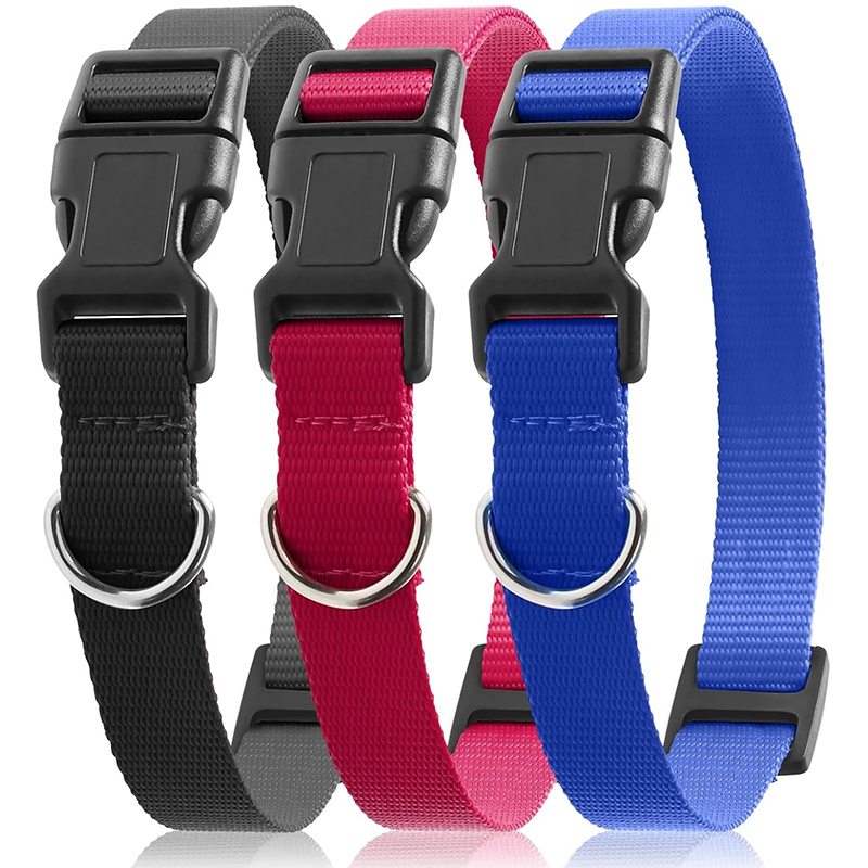 Dog Shock Collar Replacement S – D Ring Strap recenzja i cena