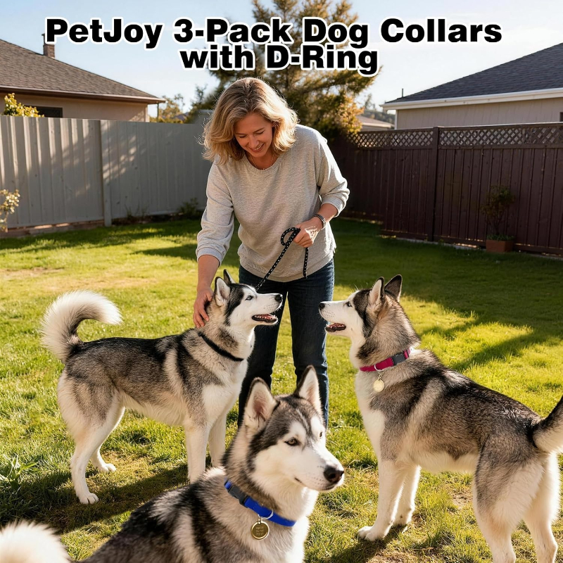 Dog Shock Collar Replacement S – D Ring Strap recenzja i cena